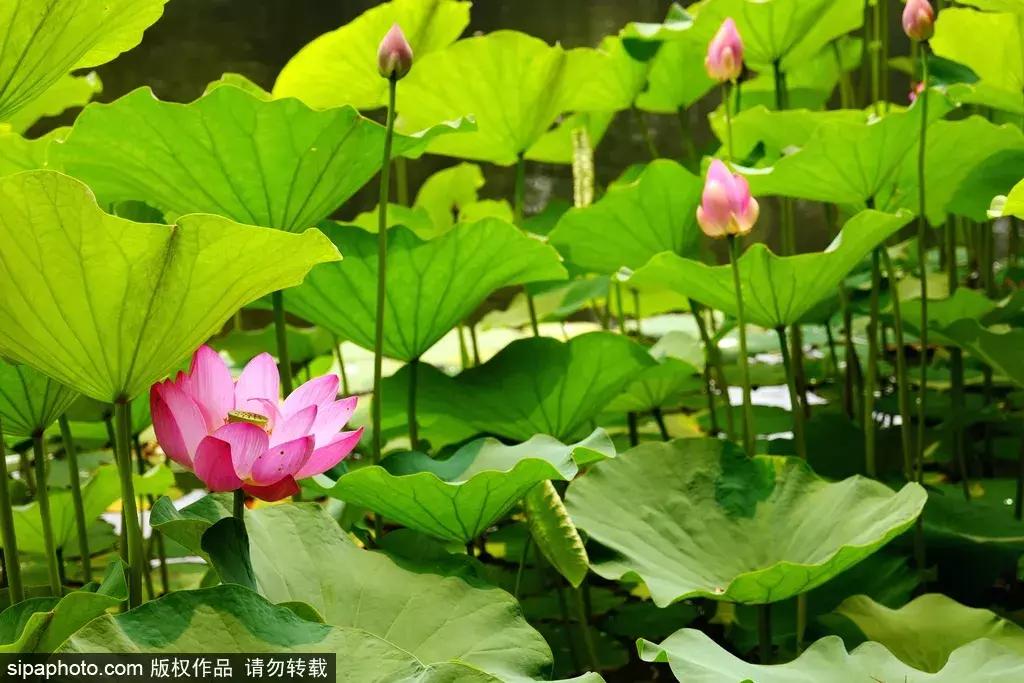 周末北京这些值得去的地方,北京周末来这儿玩