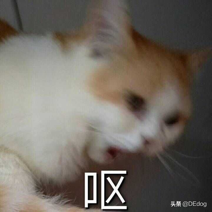 实验室趣事,实验室隐患趣味小视频