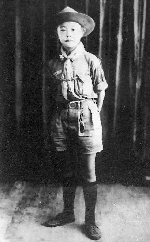 黄永玉画画,黄永玉画画教程