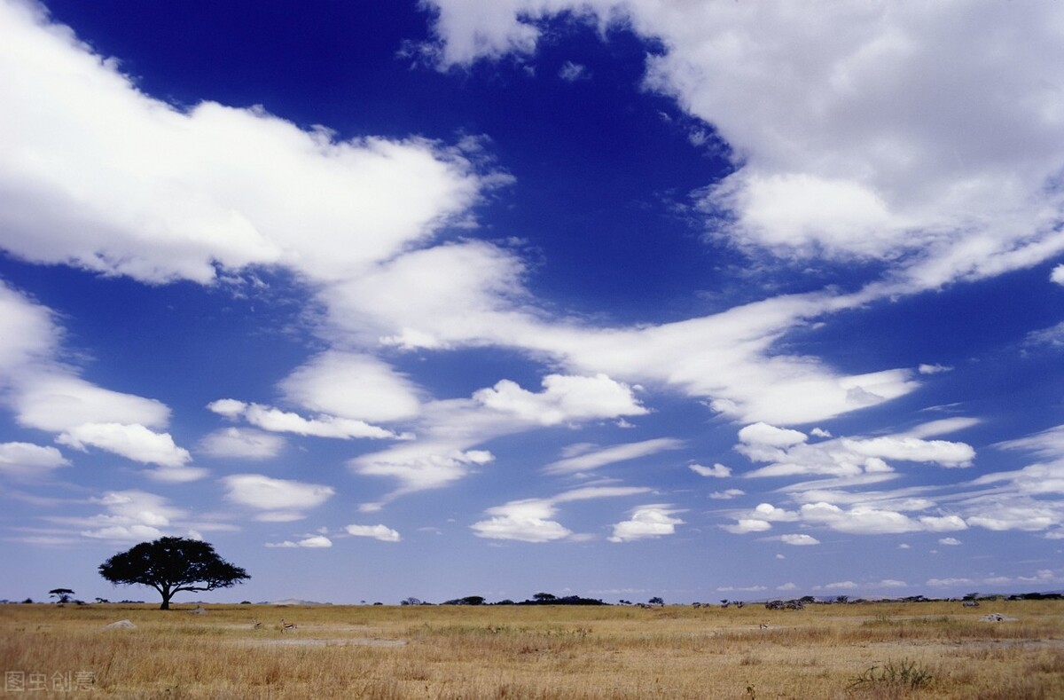 格律诗平仄每个字都要对吗,格律诗平仄要求四角相对
