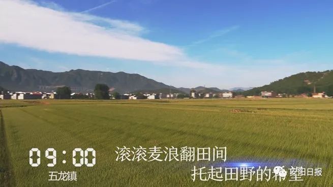 近几天林州发生的新闻,林州这几天发生的事