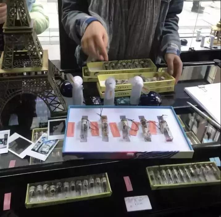 blackpink快闪店,快闪店的创意视频