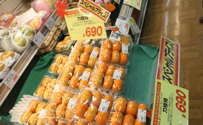 日本的生活成本是多少钱,最真实的日本生活成本太高