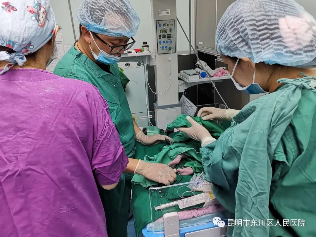 鏁晱鐢熷懡鎸芥晳鐢熷懡,鏁晱鐢熷懡鏁戞鎵朵激鐢樹簬濂夌尞