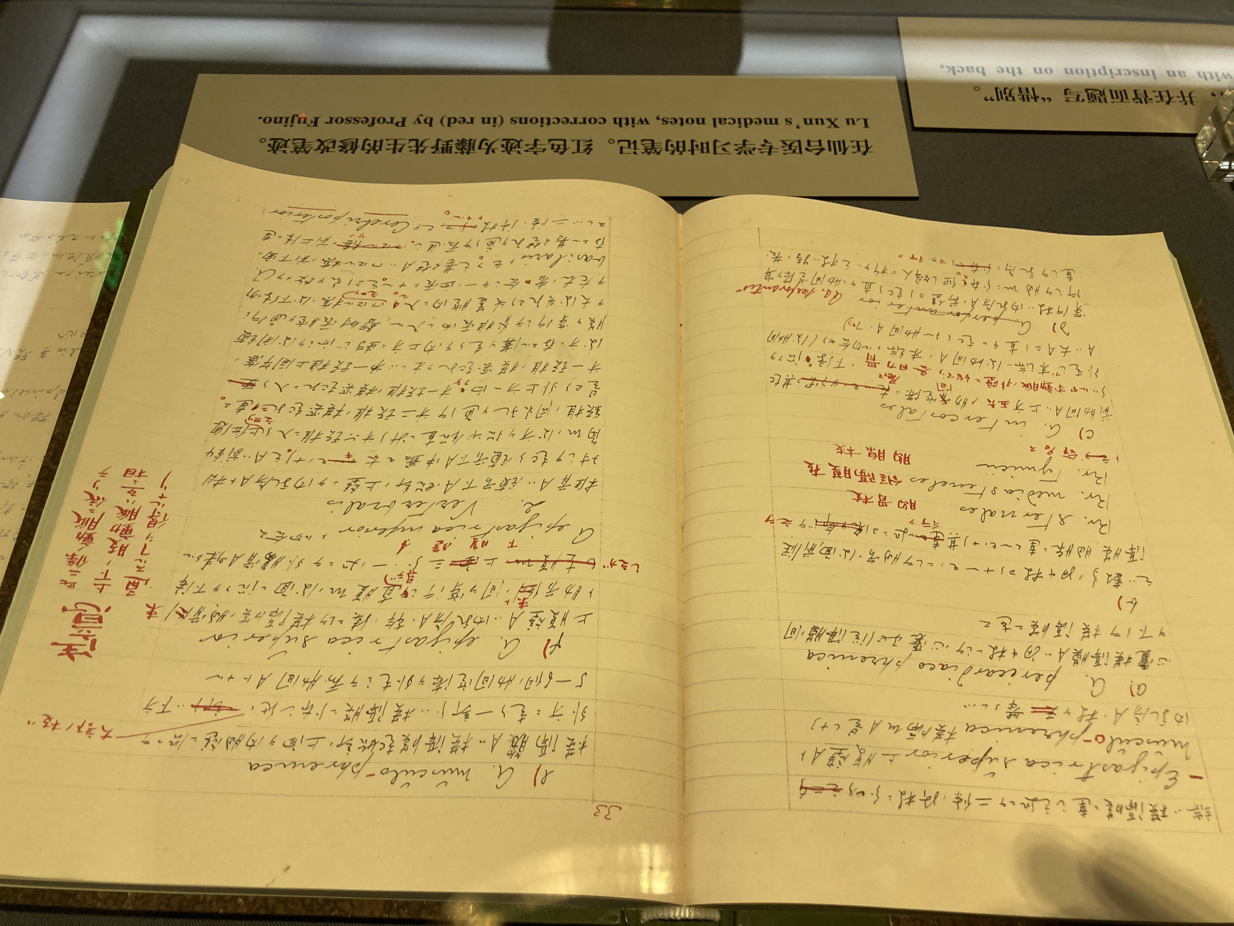 鲁迅和藤野先生是什么关系,20年后鲁迅和藤野见面会说些什么