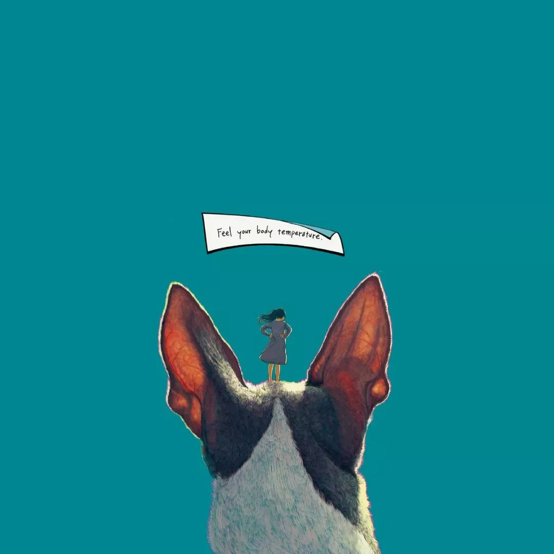 ipad用什么壁纸软件,壁纸ipad高清无水印