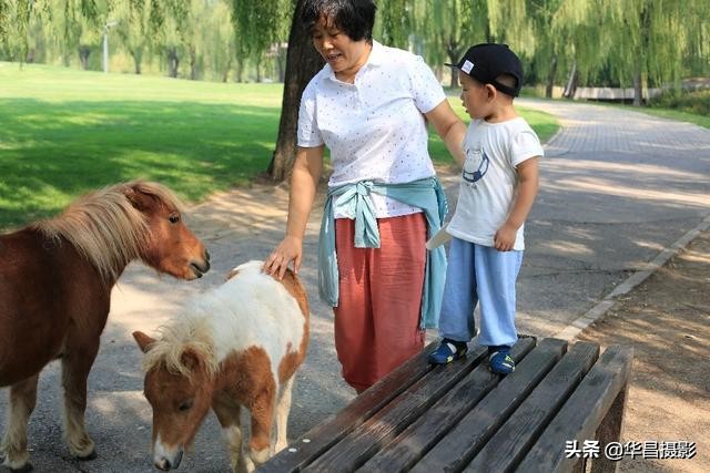 北京紫玉山庄有什么好玩的,紫玉山庄旅游度假