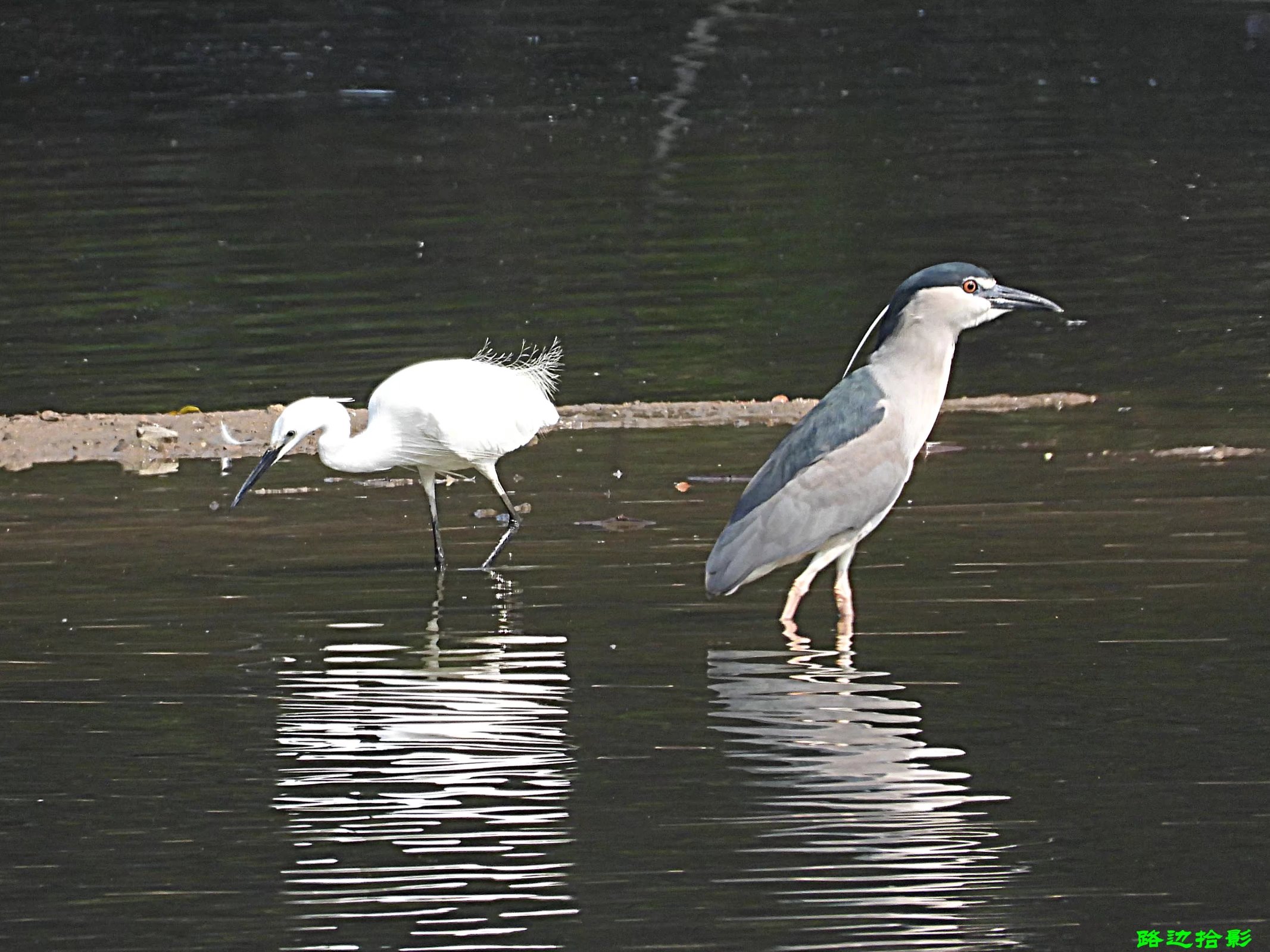 广州莲花山游记,广州莲花山风景