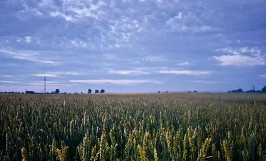 无聊的时候做什么才有意思,无聊时要做的十件事