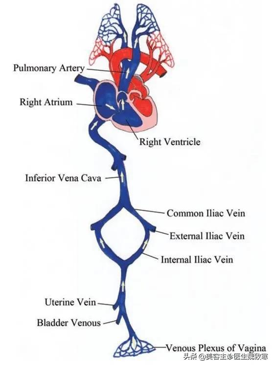 私密整形严重并发症:阴道注射填充剂9小时后永久停止呼吸
