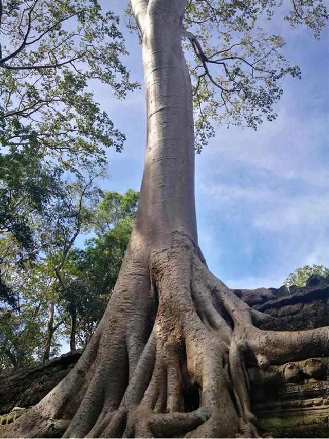 手拍世界微信公众号,手拍世界283期