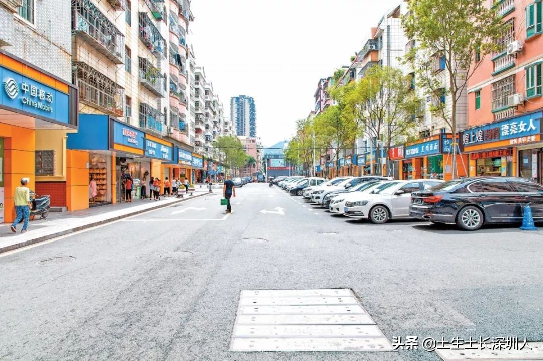 梅林民乐村,梅林关口民乐花园