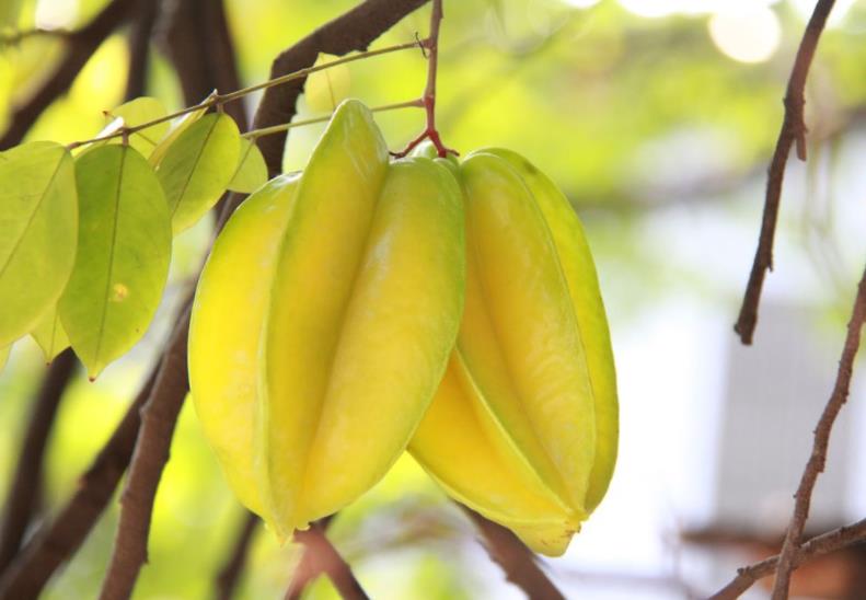 为人处世记住这五大忠告,老人言做人八大忌