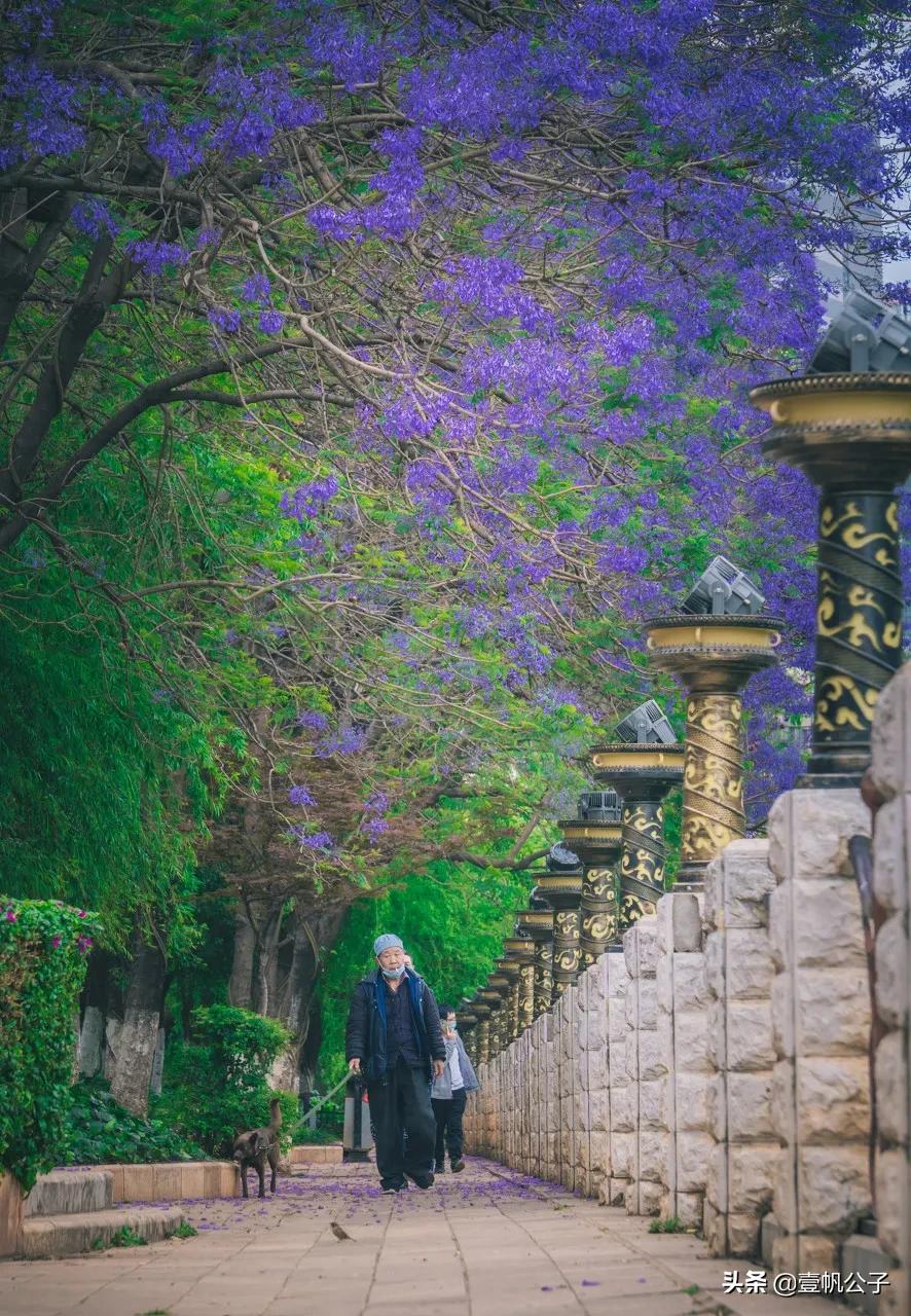 被大理的美景所折服,被丽江的风景美到了