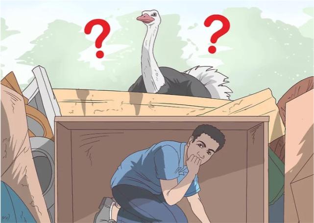 鸵鸟遇到强敌怎么办,如何帮鸵鸟逃避危险