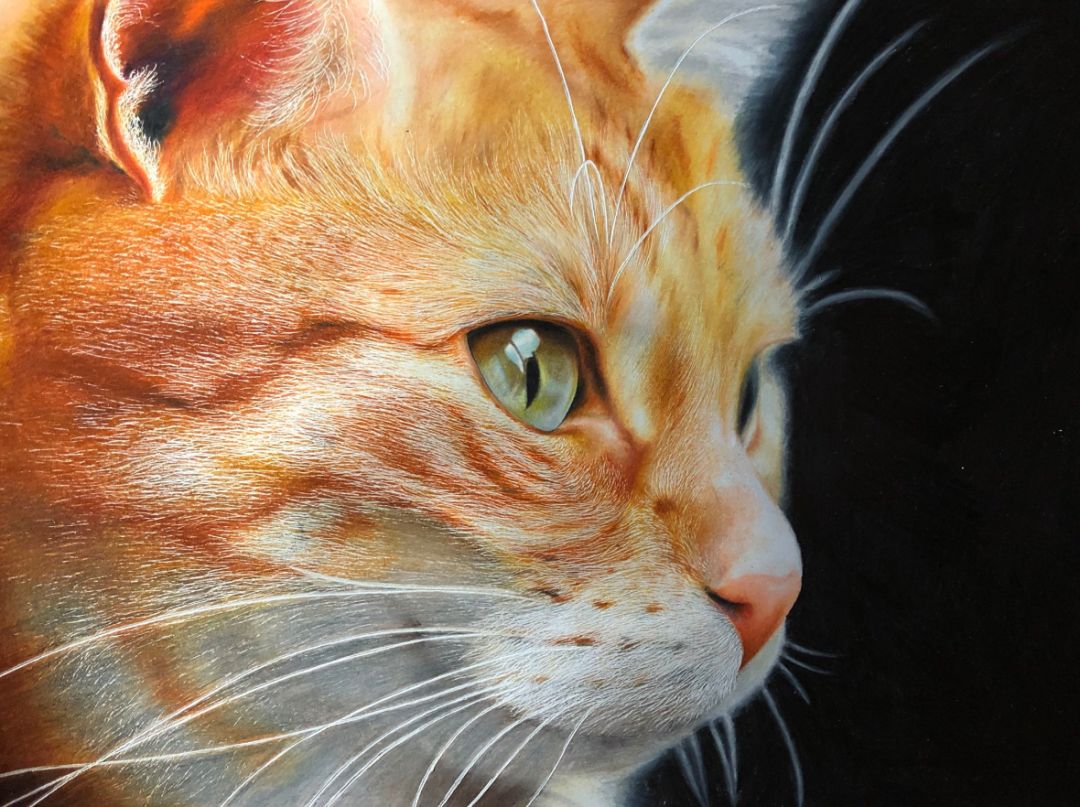 失明女孩铅笔画,手绘眼睛流泪铅笔画