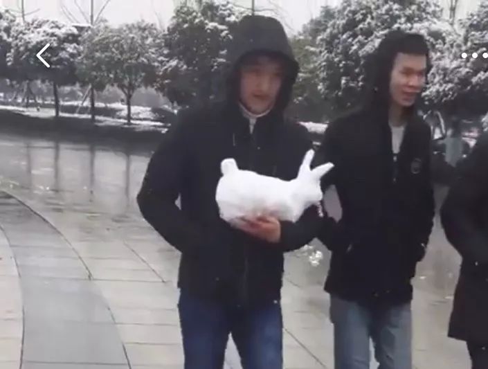 公园回应大妈路边卖雪,大妈卖雪5元一盆