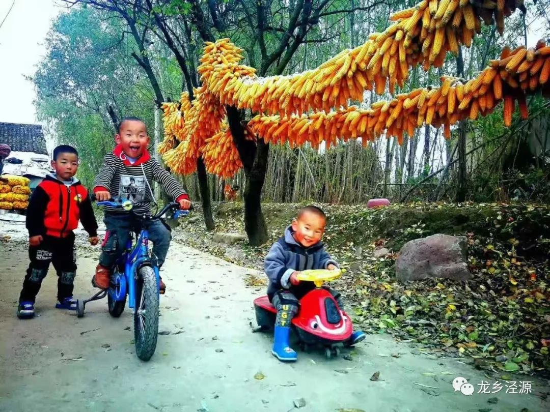 泾源秋天美景图片,泾源最美景色