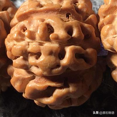 金刚菩提用砂纸磨矮桩,金刚菩提磨漏了怎么办