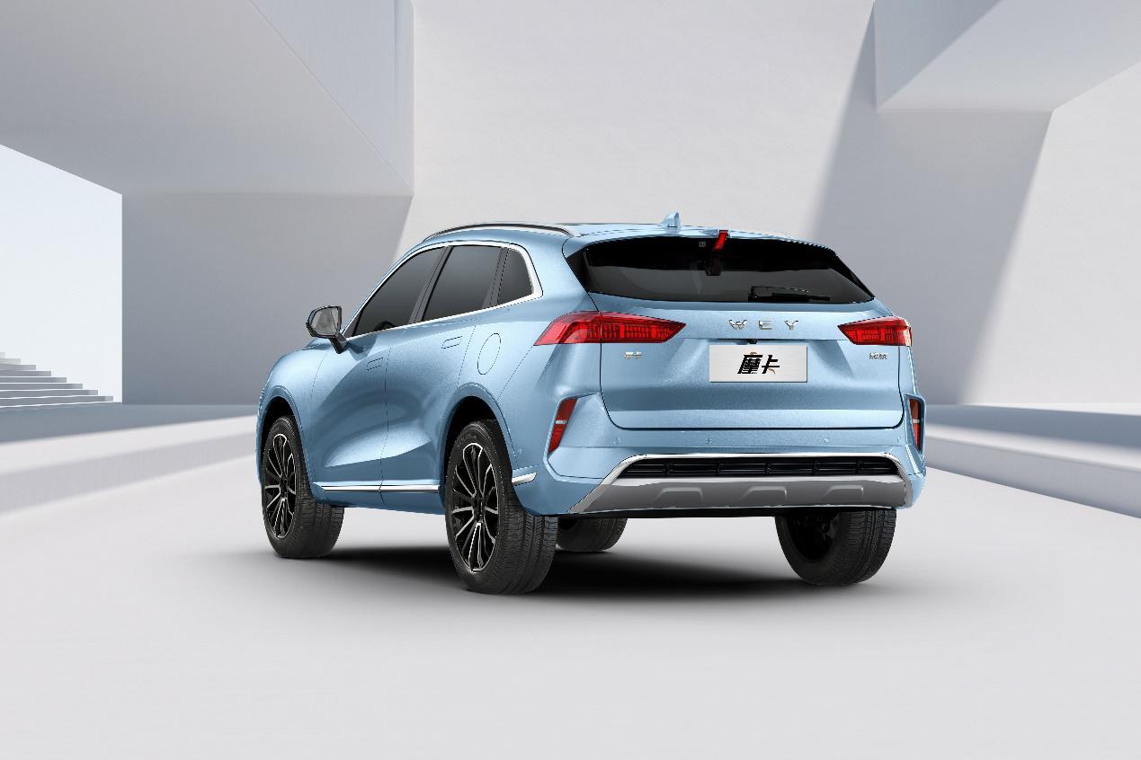 你没尝过的吃货必备零食有哪些,wey新旗舰suv摩卡发布