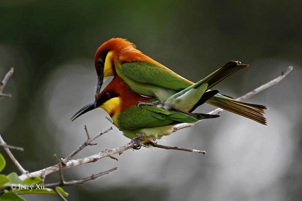 情人节,就该和爱的人*爱做**做的事