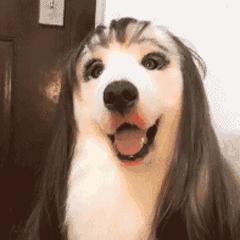 除了支付宝还有哪些好用app,除了微信和支付宝还有什么app