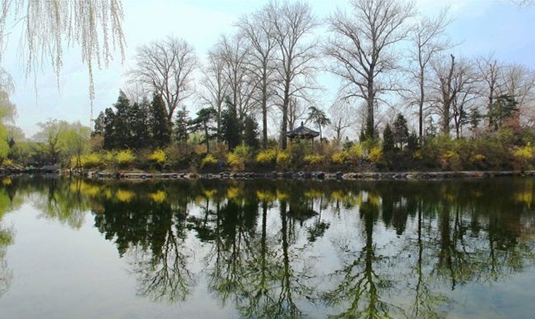 想要上清华高中三年如何规划,满足了这几点不用高考也能上清华