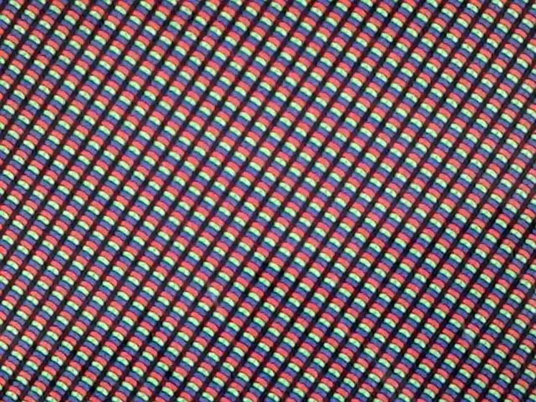 暑假孩子玩手机不如打篮球吧,儿童显微镜放大蚂蚁120倍