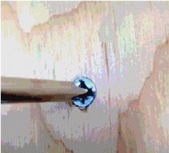 螺丝生锈了拧也拧不下来怎么办,螺丝生锈拧不下来小技巧