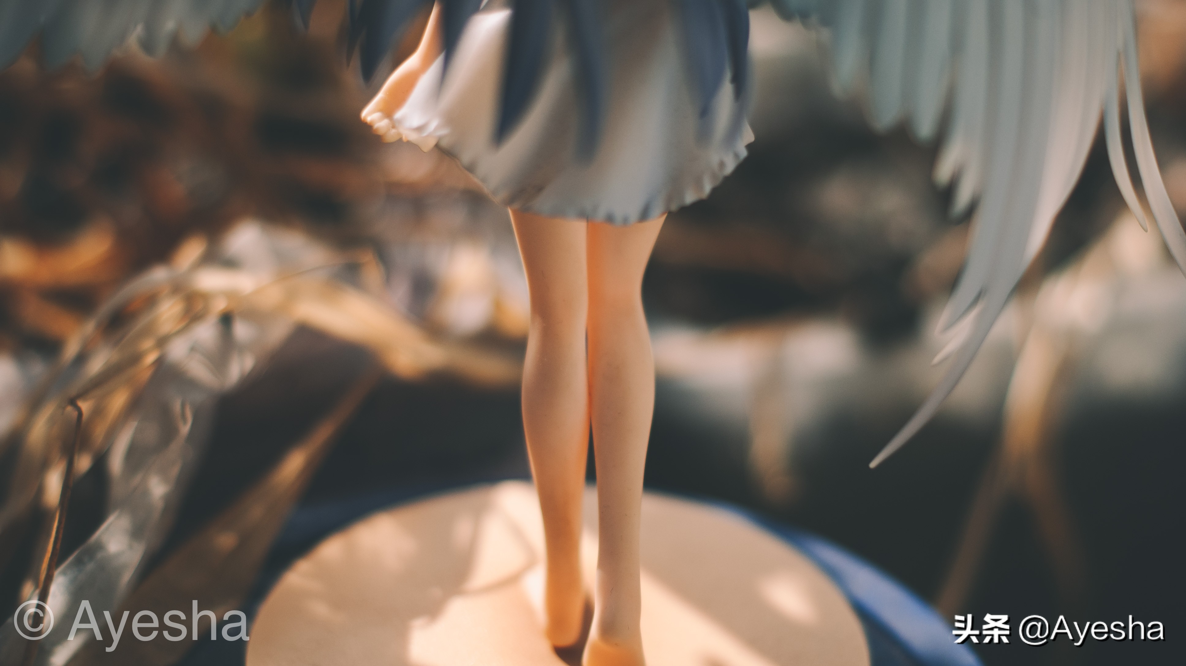 我想学摄影怎么入手,想学摄影但不知道做什么