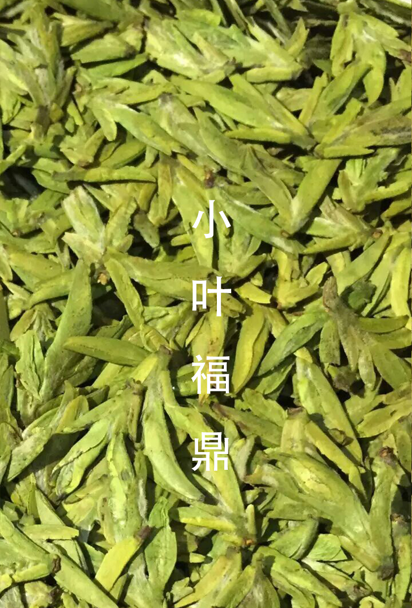 龙井哪里茶最正宗,龙井醉美山水茶