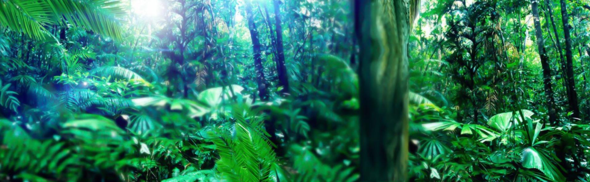 设计师免费素材库大全无水印高清,设计师高端素材库推荐