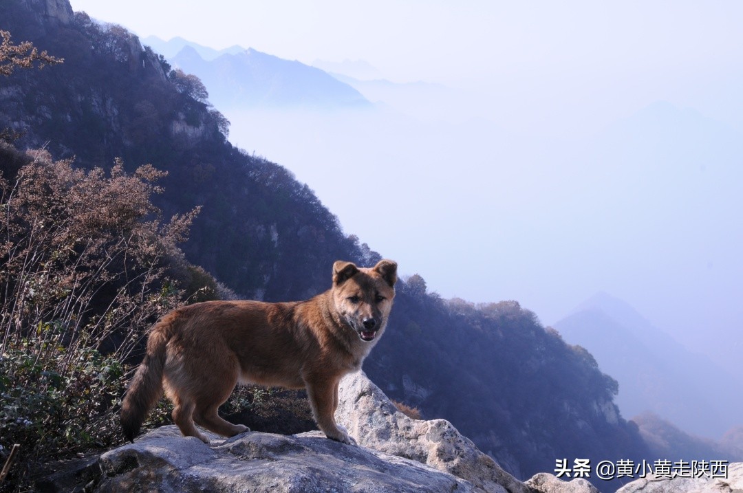 西安秦岭能爬的山,西安必爬秦岭山