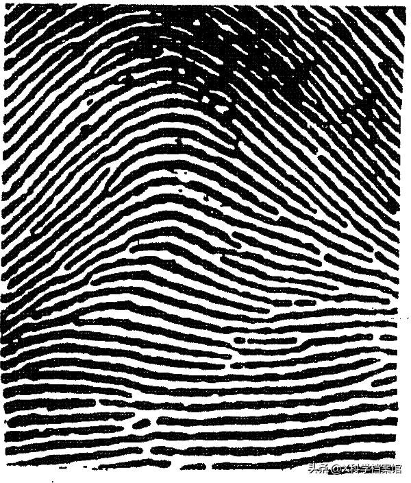 让你大开眼界的生物视频,大开眼界的新物种