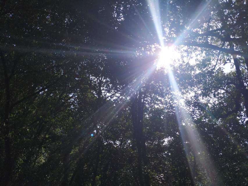 杭州西湖茶山游玩攻略,杭州西湖边游玩