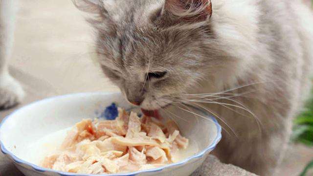 宝妈在家带娃干什么挣钱,宝妈在家带娃想挣钱最新