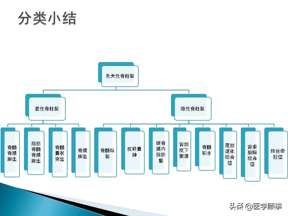 先天性脊柱裂是怎么来的,先天性脊柱裂的孕妇