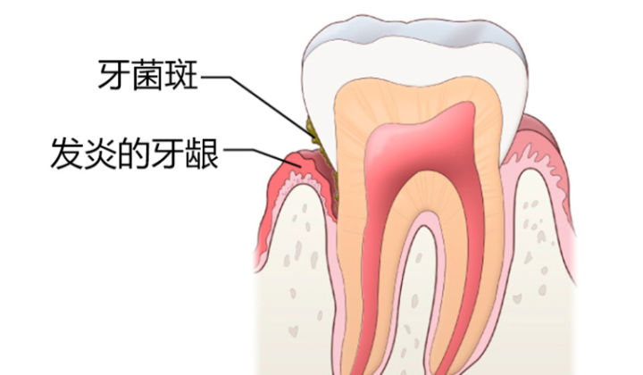 我的育儿日记550字,我的育儿日记0到6岁女儿