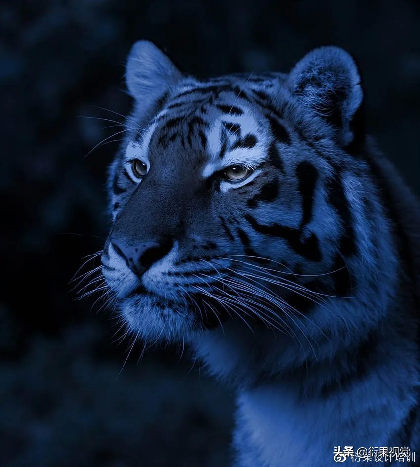 ps发光logo制作教程,ps软件教程制作发光特效