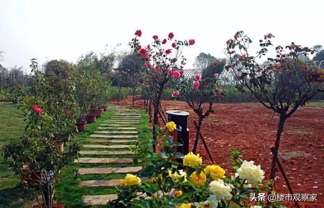 南昌地铁线2号线沿途游玩攻略,南昌四号地铁线游玩攻略