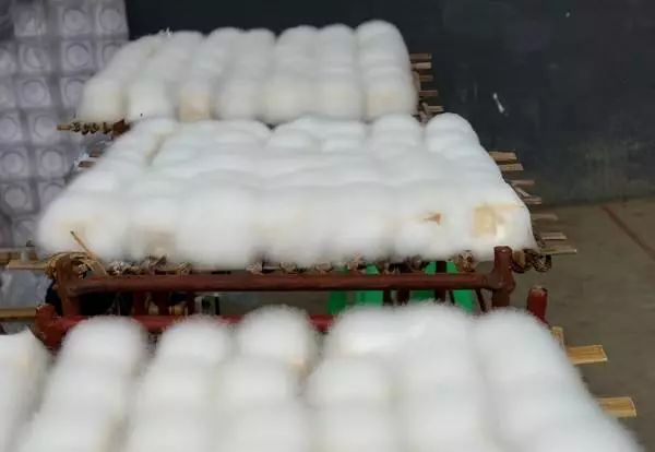 亲戚都喜欢吃的饭菜,一家人吃了发霉的食品