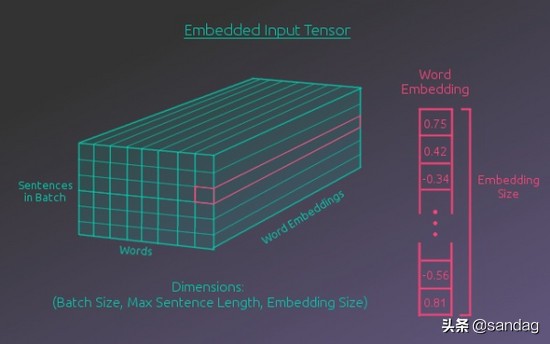 神经网络翻译编码和解码,解码器编码器
