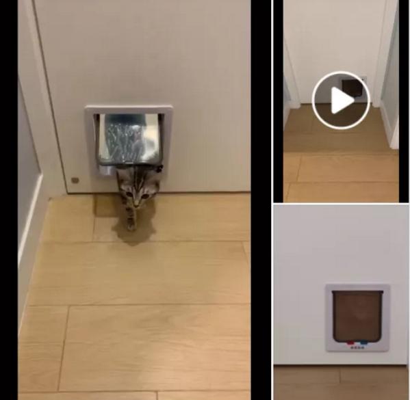 天降横财香港在线,天降横财买彩票中奖