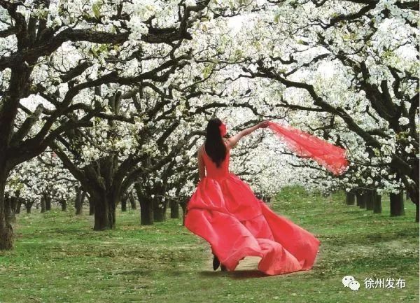 萧县徐州快速通道最新消息,淮徐快速通道经过宿州吗