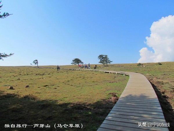 宁武芦芽山悬崖栈道,太原出发芦芽山马仑草原自驾路线