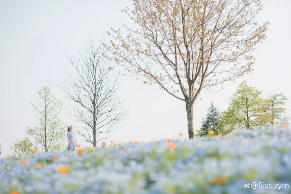 戴口罩的春节,戴口罩的冬天过去了