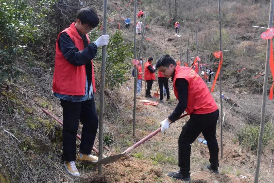 武汉植树高峰期,植树浪潮