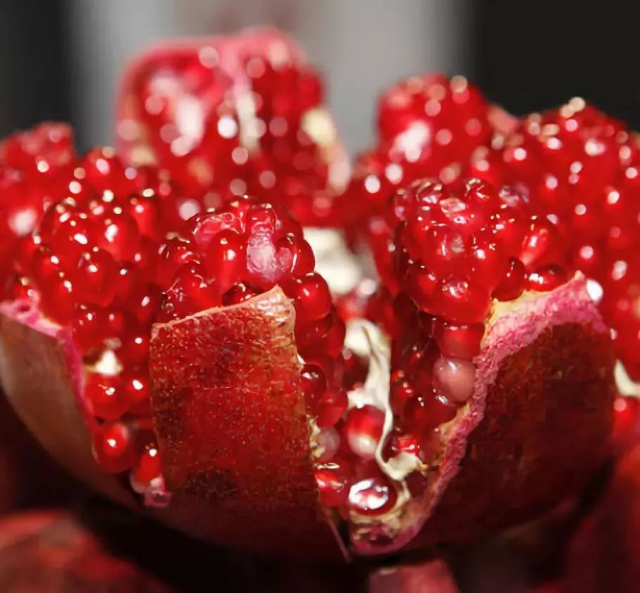 突尼斯软籽石榴目前有几个品种,突尼斯软籽石榴和红宝石石榴区别