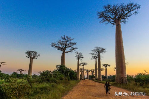 马达加斯加冷知识,马达加斯加的特点和路线