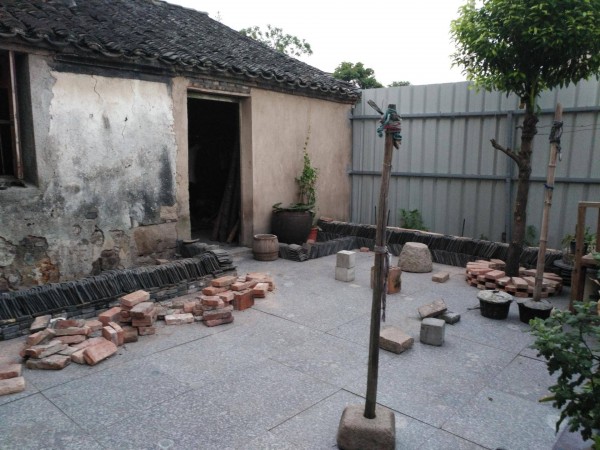 适合栽在庭院的多肉,庭院地栽多肉设计